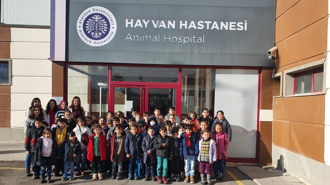 Okulumuz öğrencileri tarafından Veterinerlik Fakültesi ve Hayvan Barınaklarına gezi düzenlendi.